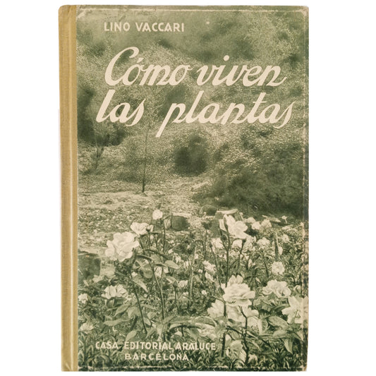 CÓMO VIVEN LAS PLANTAS. Biología y morfología vegetal. Vaccari, Lino