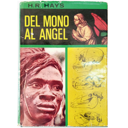 DEL MONO AL ÁNGEL. Hays, H. R.