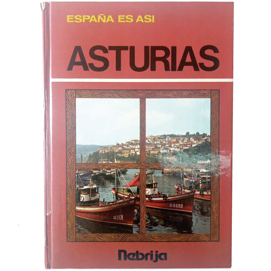 ASTURIAS. Medina, Begoña