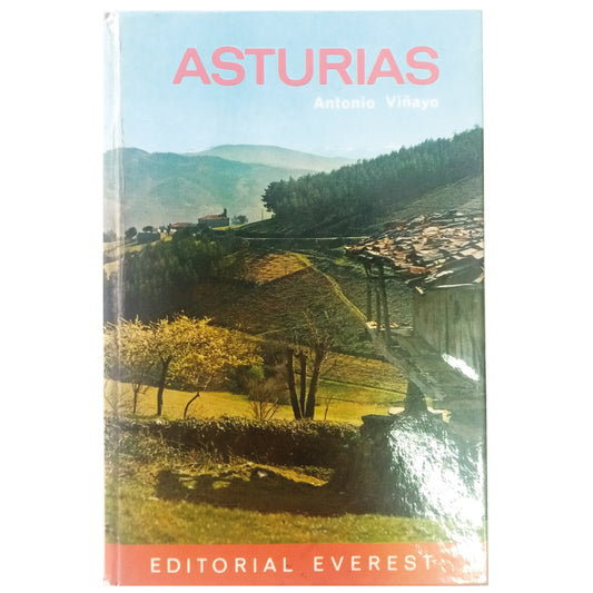 ASTURIAS. Viñayo, Antonio