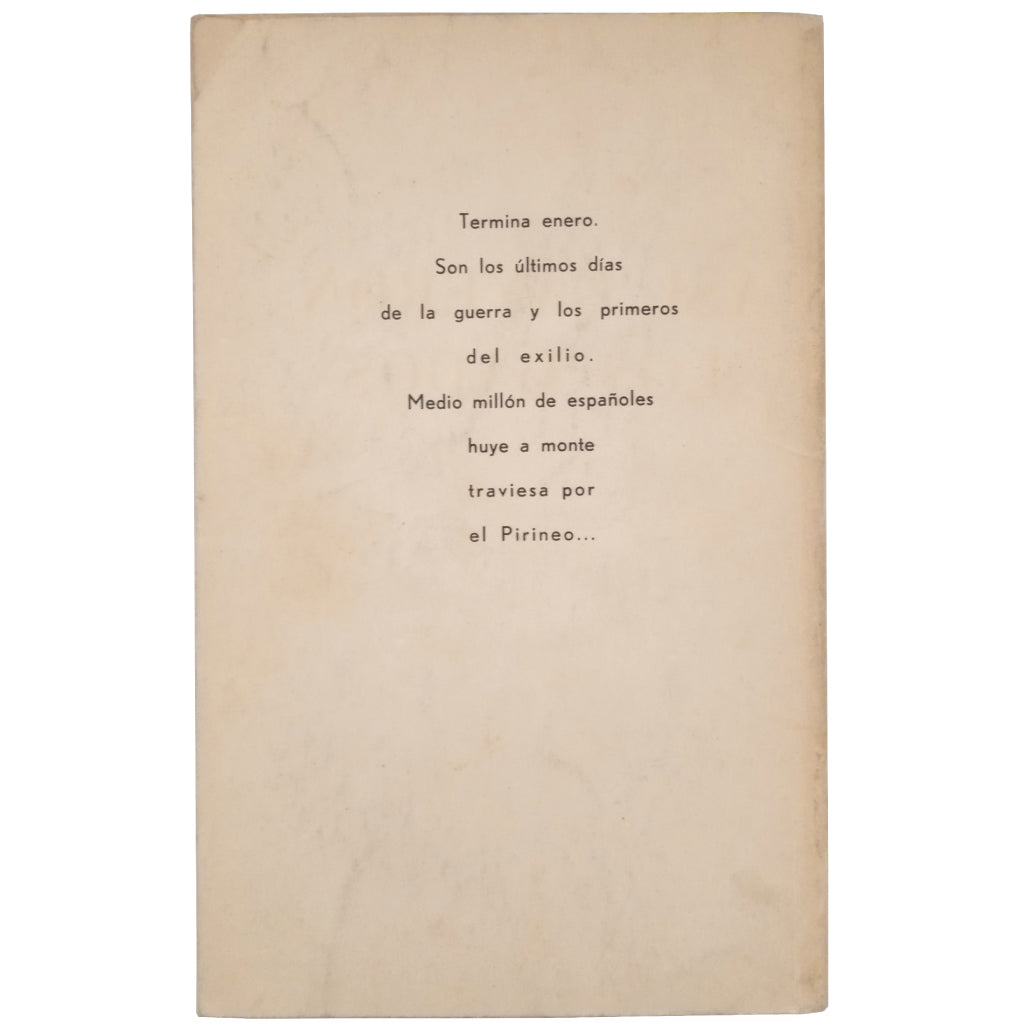 ASÍ CAYERON LOS DADOS. Novela. Botella Pastor, V.